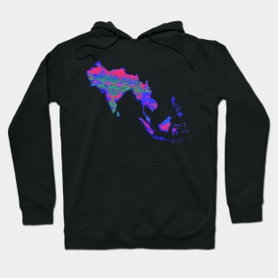 Akhanda bharat Hoodie